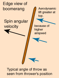 Drawing of the edge of a boomerang, showing the typical angle of a throw. 